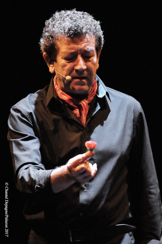 Festival Andalou
